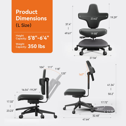 Dynamic Ergonomic Chair with Adjustable Lumbar Support