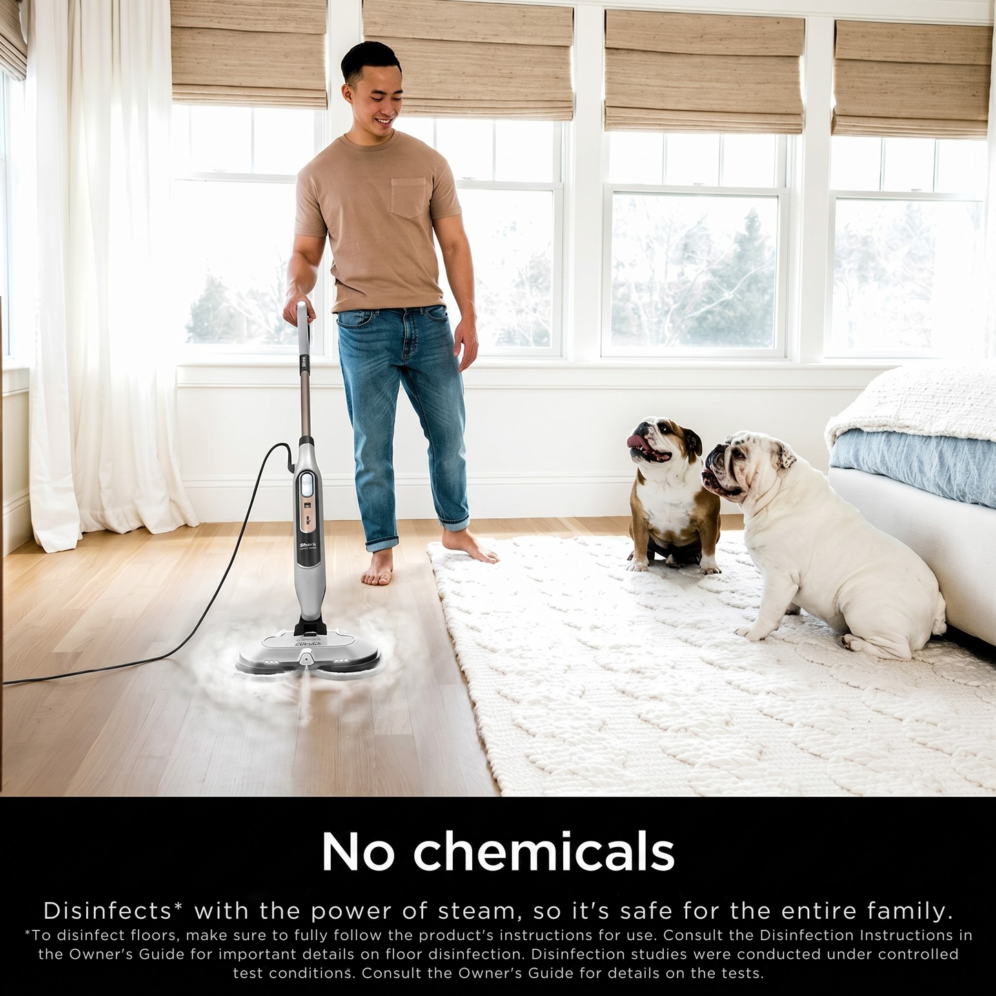 Professional Steam Floor Sanitizer
